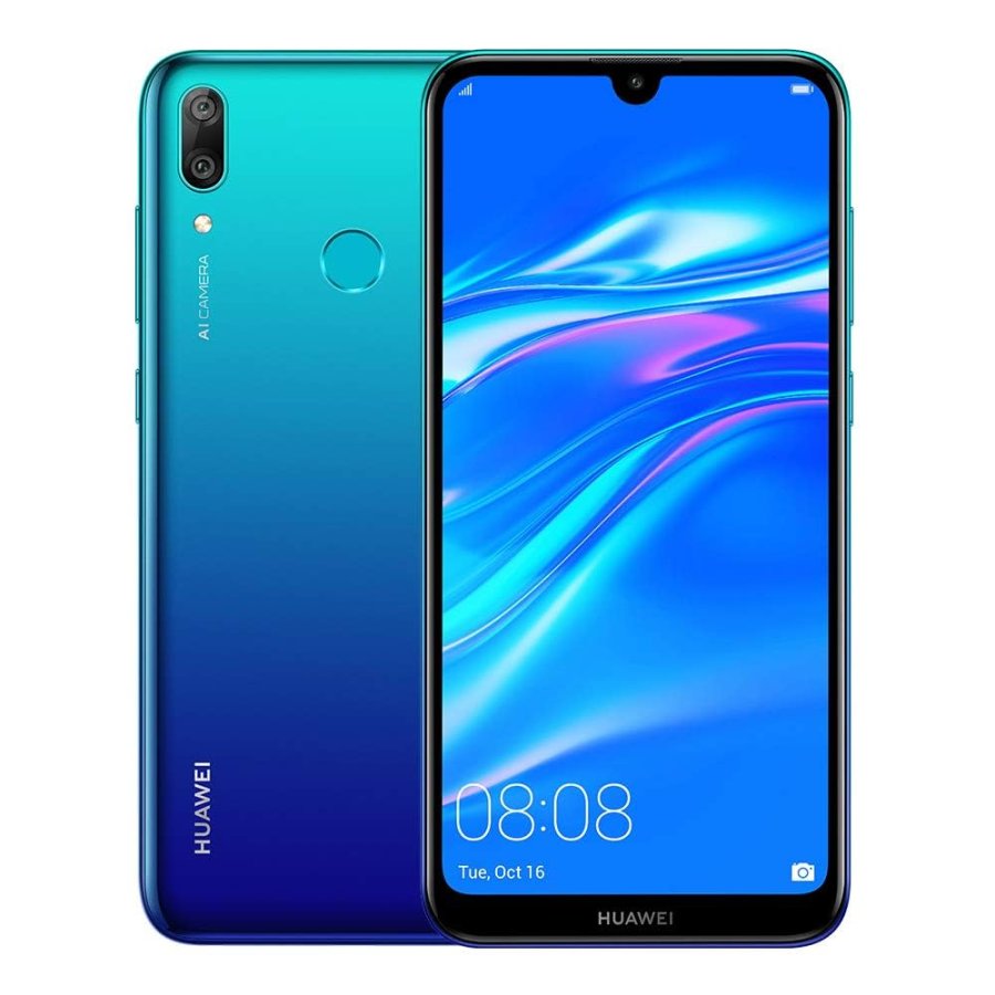Y7 (2019)